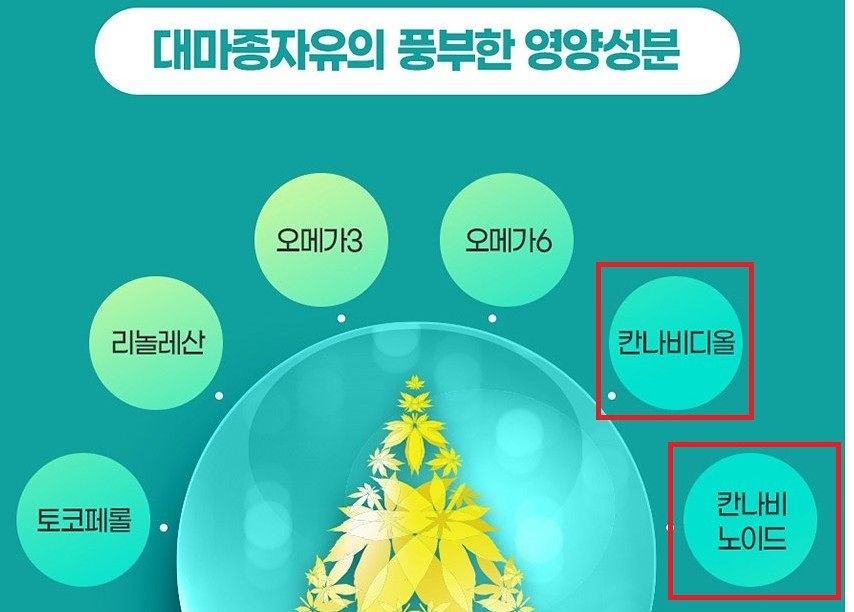 마약류 성분 온라인 광고. 사진 식품의약품안전처