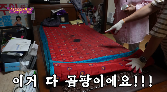 '전원주인공' 영상