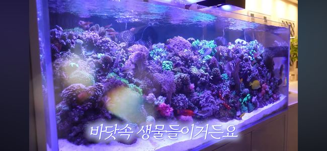 [사진]OSEN DB.