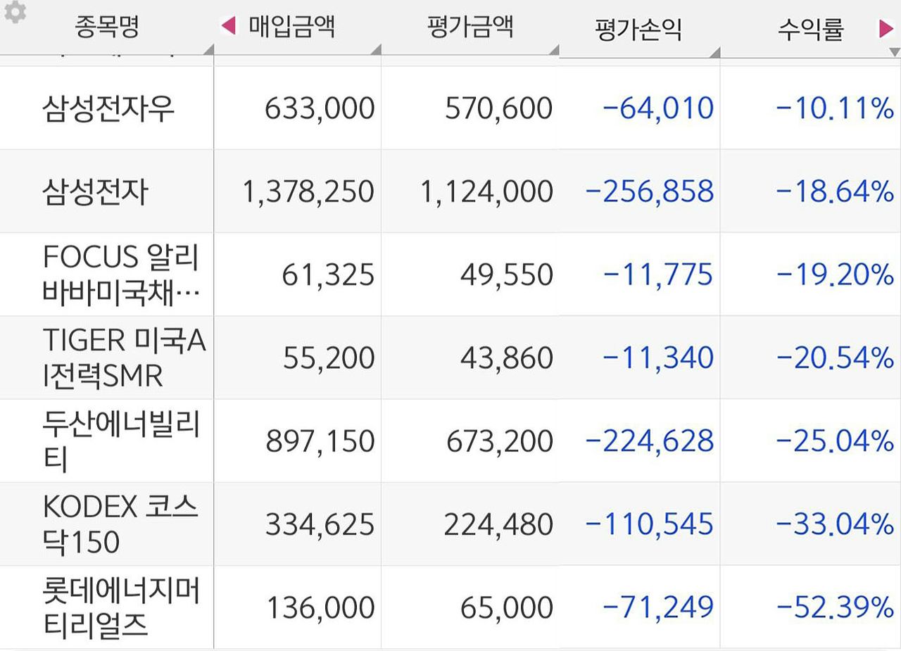 지난해 하반기 국내 주식 투자를 시작한 직장인 김모(25)씨의 주식계좌. 김씨는 최근 20% 넘는 손실을 봤다. 사진 김씨