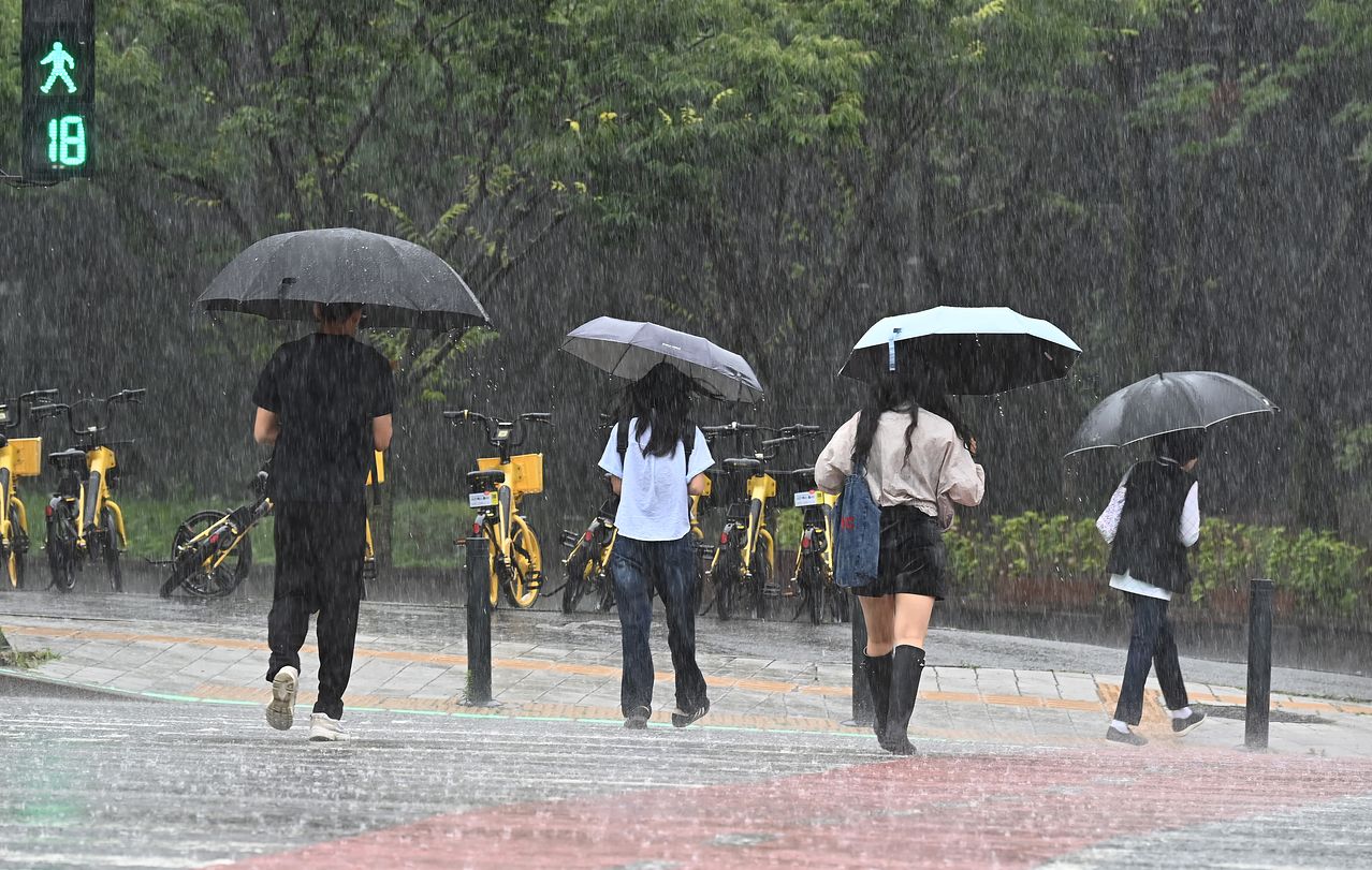 전국 곳곳에 호우특보가 발효된 9일 경기 수원시 영통구 영통동에서 우산을 쓴 시민들이 횡단보도를 건너고 있다. 뉴시스