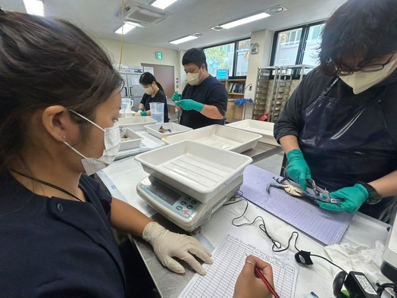 제주바다에서 포착한 청색꽃게의 크기를 재는 중인 국립수산과학원 아열대수산연구소 직원들. 사진 아열대수산연구소