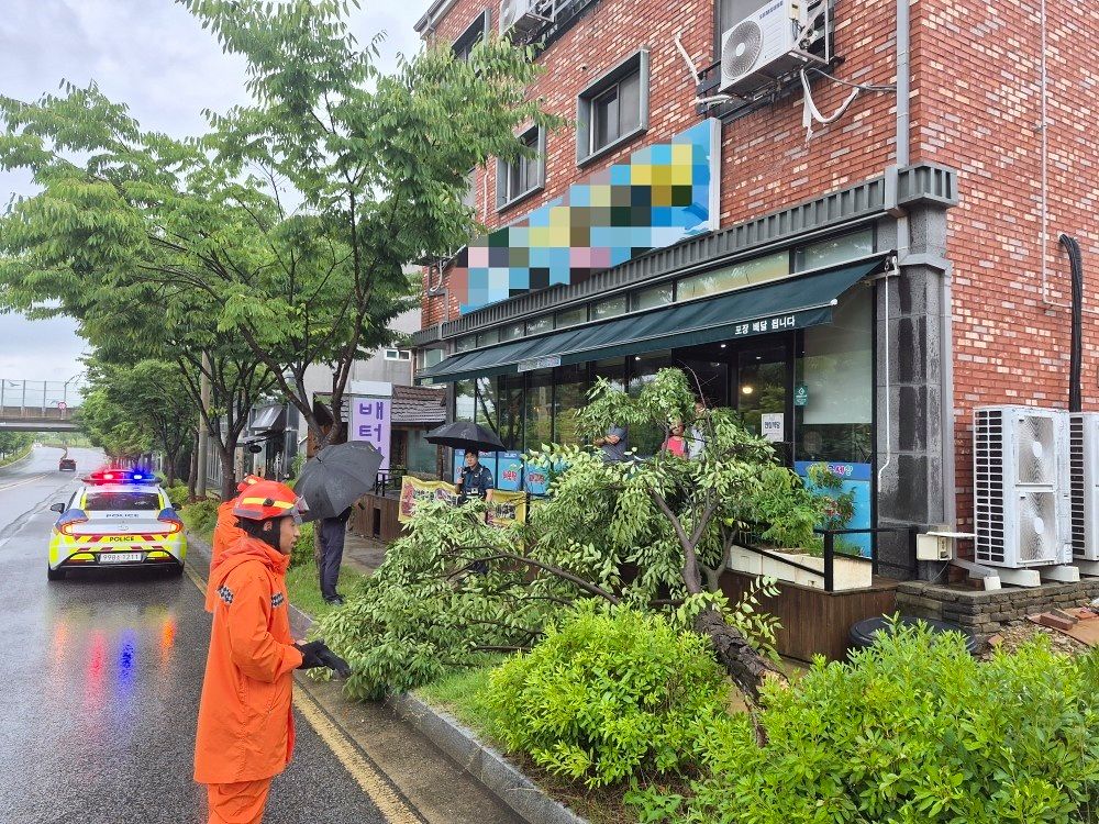 전북 전역에 강한 비가 내린 8일 전북 완주군 이서면의 한 가게 앞에 나무가 쓰러져 있다.뉴스1