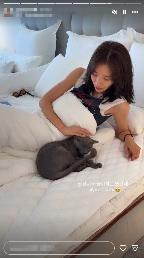 손담비 SNS
