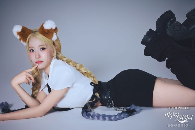 토탈셋 제공