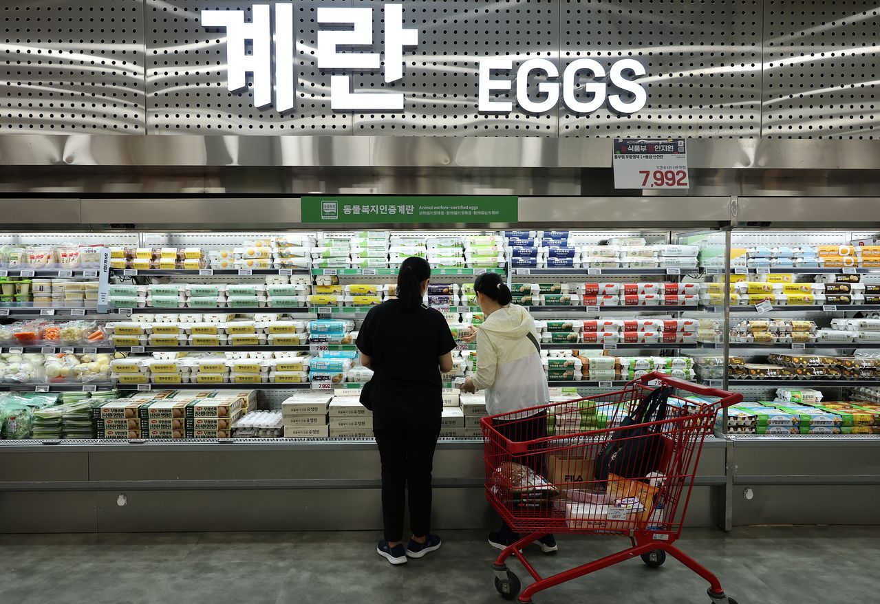 서울 시내 한 대형마트에 진열된 계란. 연합뉴스