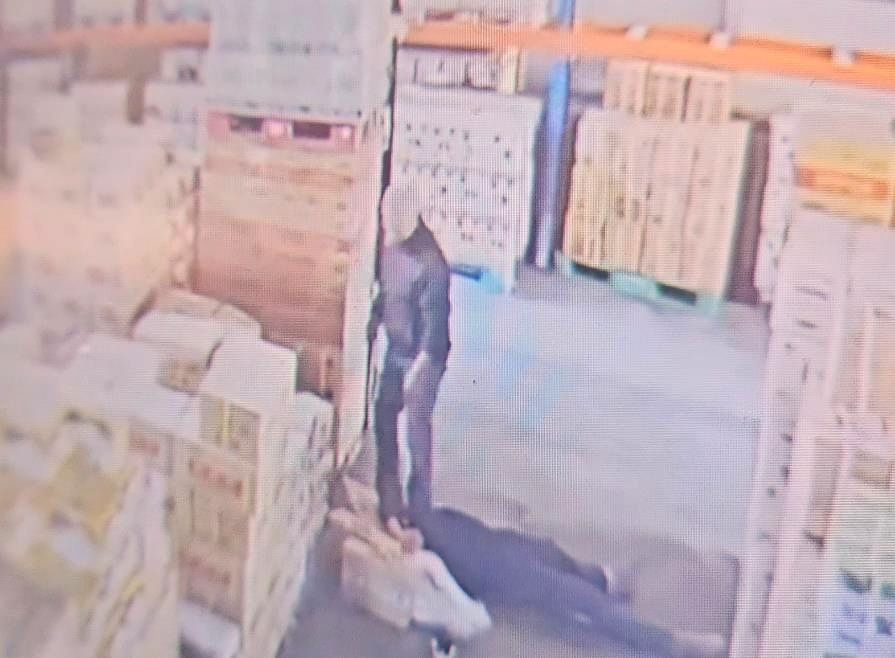 사장이 운전하던 지게차에서 추락한 직원. 사진 온라인 커뮤니티 CCTV 영상 캡처