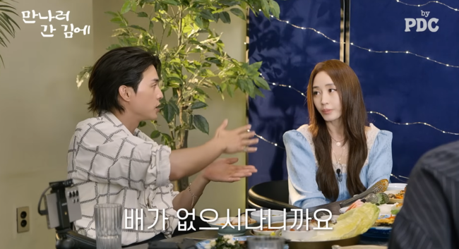 'PDC' 영상