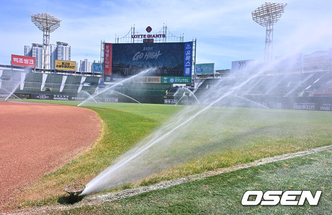 [OSEN=부산, 이석우 기자] 31일 부산 사직야구장에서 2026 신한 SOL KBO 리그 롯데 자이언츠와 삼성 라이온즈의 경기가 열린다. 홈팀 롯데는 김진욱이, 방문팀 삼성은 원태인이 선발 출전한다.폭염중대경보가 내려진 부산 사직야구장에 열기를 식히기 위해 스프링 쿨러가 가동돼 그라운드를 식히고 있다. 2026.07.31 / foto0307@osen.co.kr