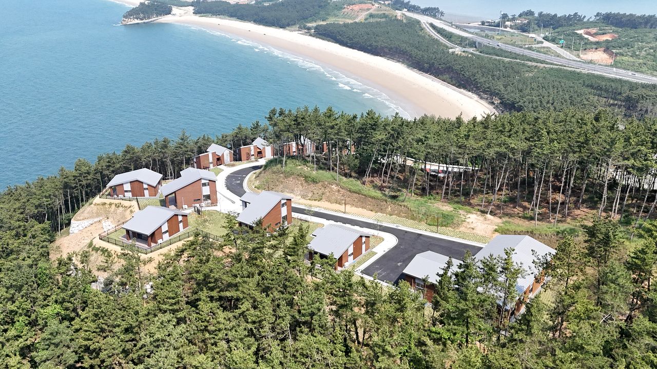 충남 보령시 오천면 원산도에 위치한 자연휴양림. 여름 휴가철을 맞아 숙박시설 예약 경쟁률이 최고 589대 1을 기록하는 등 많은 인기를 끌고 있다. [사진 충남도]