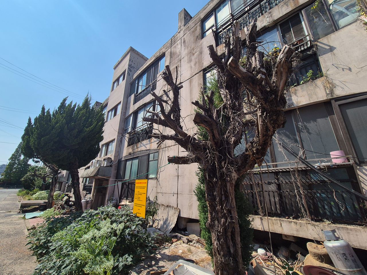 지은 지 44년 된 노후 주택 건물 외벽은 곳곳에 금이 가고 곰팡이가 피었다. 안대훈 기자