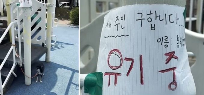 지난 1일 청주시 서원구 산남동의 한 공원 놀이터 기둥에 묶여 있는 강아지. 사진 YTN 뉴스 화면 캡처