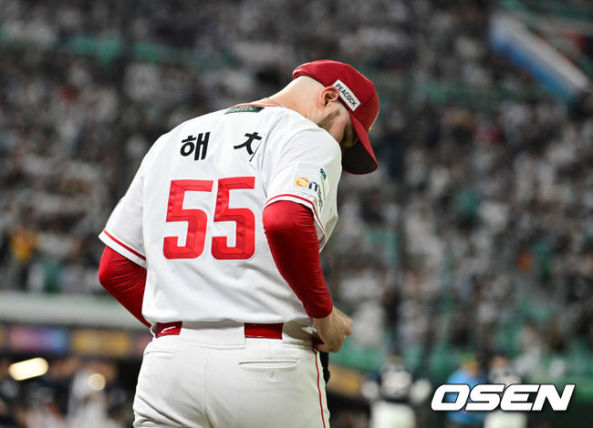 OSEN DB