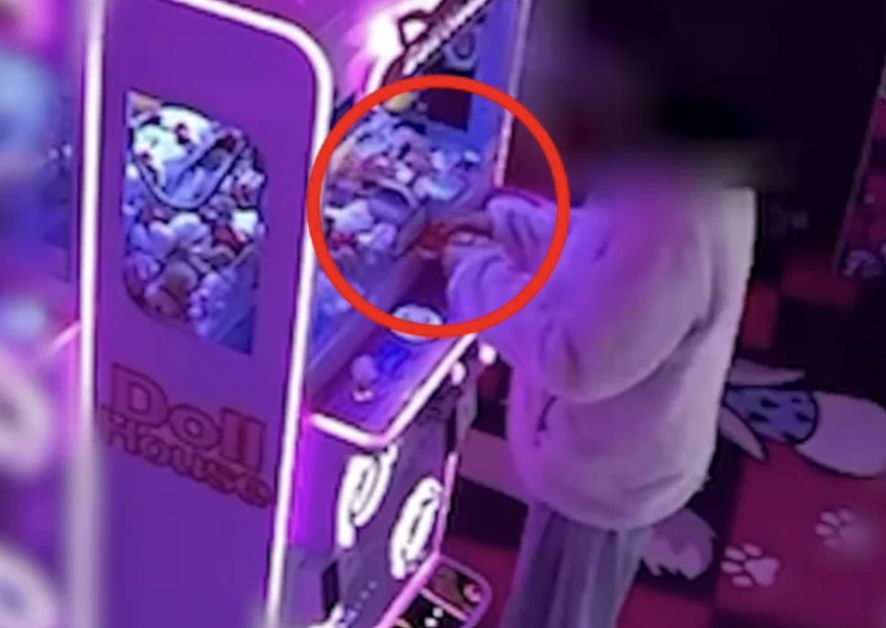 SBS '뉴스헌터스'