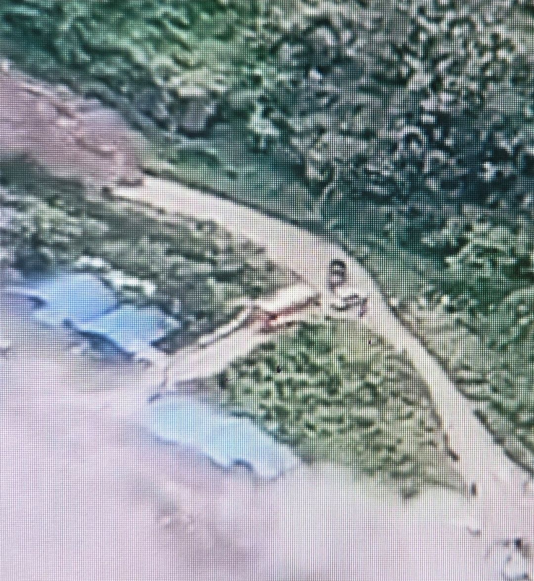 실종된 남동발전소 관계자로 추정되는 이들이 네팔 홍수 당시 차에서 내려 대피하는 모습. 사진 실종자 가족 제공