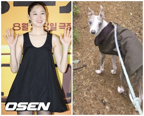 [사진]OSEN DB.