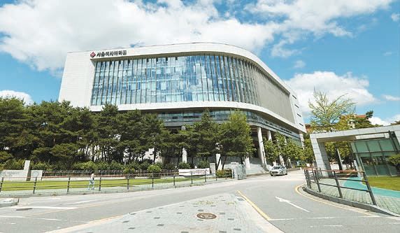 서울여대는 ‘기술의 시대, 사람을 향한 참여·융합형 AI교육’을 만들어가고 있다. [사진 서울여대]