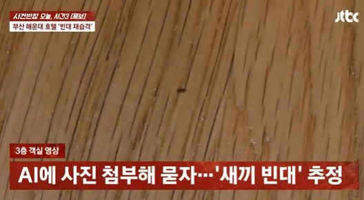 JTBC '사건반장'