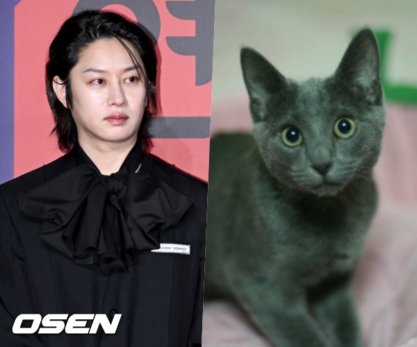 Super Junior Kim Heechul