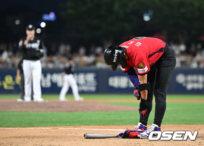 OSEN DB