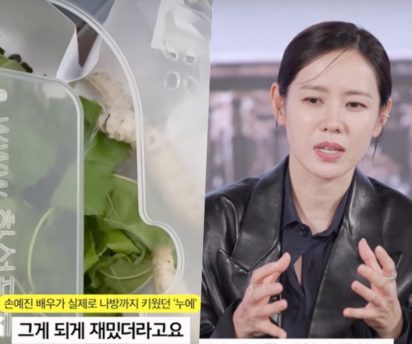 [사진]OSEN DB.