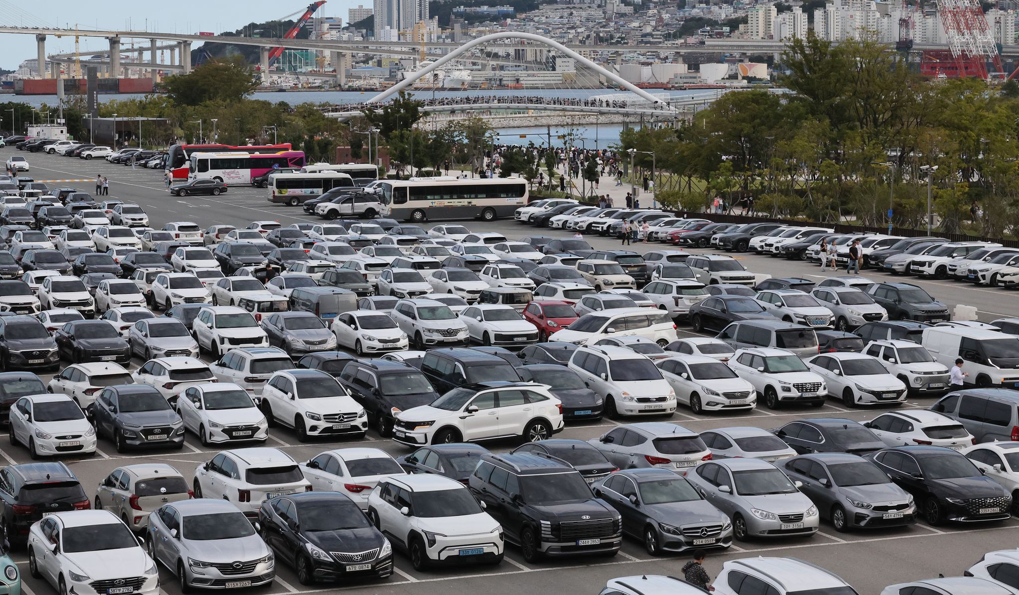 23일 부산 북항 친수공원 수로에 출몰한 상어를 보려는 시민과 관광객들이 타고 온 차량이 부산항국제여객터미널 야외주차장을 가득 메우고 있다.