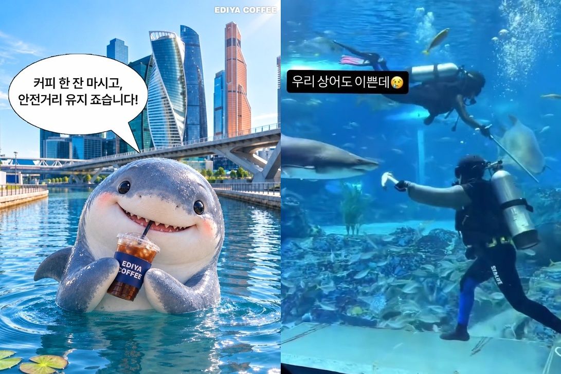 이디아커피와 부산아쿠아리움 홍보 게시물. 사진 공식 인스타그램