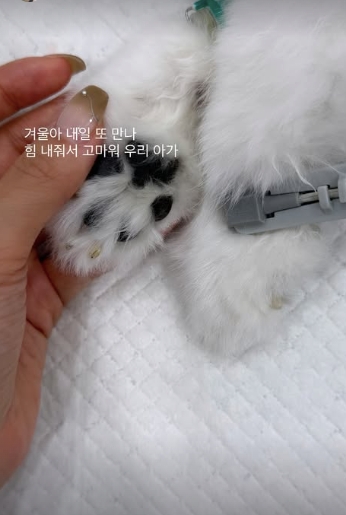 [사진]OSEN DB.