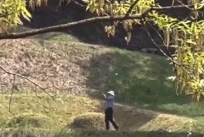 최근 경기도 화성시 동탄에 있는 한 묘지 앞에서 골프 연습을 하고 있는 남성. 사진 스레드 캡처