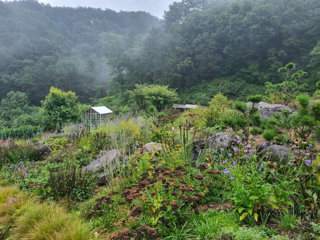강원 인제군 짝박골정원. [사진 산림청]