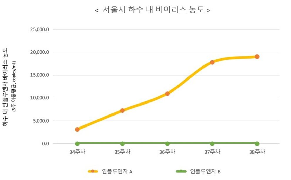 최근 서울시 하수도 내 인플루엔자 농도. [자료 서울시보건환경연구원]