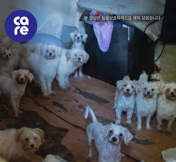 사진 케어 인스타그램