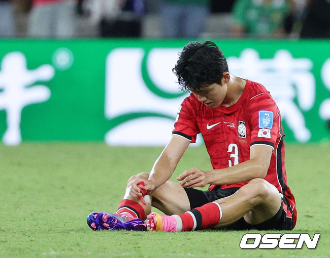 OSEN DB