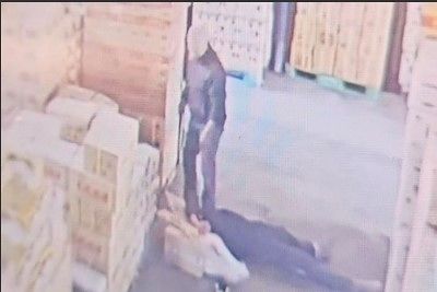 지게차서 추락한 직원. 온라인 커뮤니티 CCTV 영상 캡처