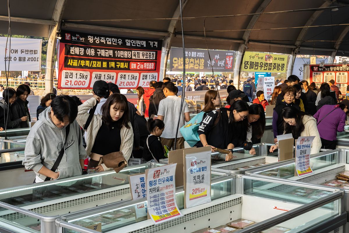 지난해 강원 횡성군에서 열린 횡성한우축제에서 관광객들이 한우를 고르고 있다. [사진 횡성군]