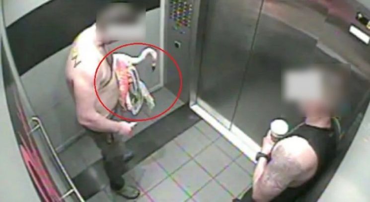 Flamingo theft