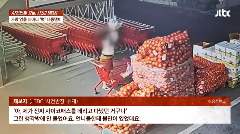 지인에게 맡긴 반려견이 20분간 13차례 바닥에 내던져져 다리가 마비됐다는 사연이 공개됐다. 지인은 견주 자매에게 쌓인 불만을 반려견에게 풀었다고 털어놓은 것으로 전해졌다. 사진 JTBC '사건반장' 캡처