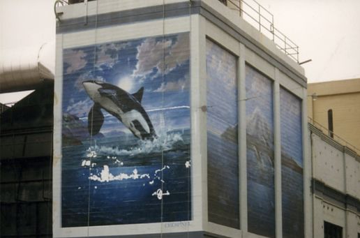 Orca by James Crespinel