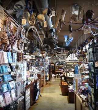 Ye Olde Curiosly Shop