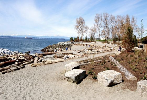 Myrtle Edwards Park