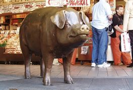 Public Market 마스코트 Rachel