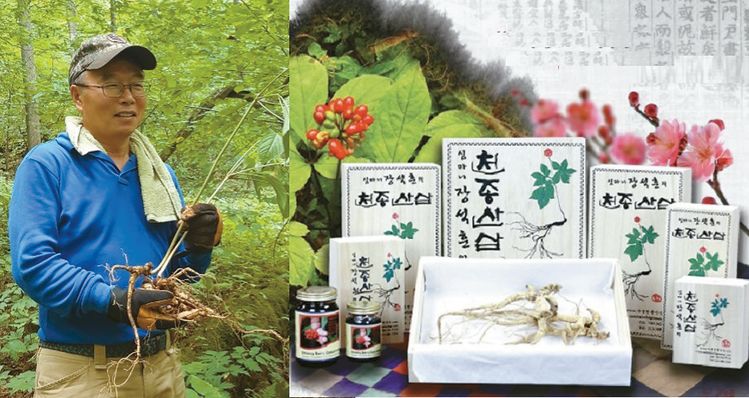 심마니 장석훈의 천종산삼이 가정의 달 5월 특별세일 중이다. 5월 한달동안 전품목에 대해 20% 오프 판매하고, 제품에 따라 추가 할인한다.