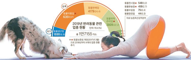 반려견과 보호자가 함께 하는 요가를 도가(Dog+Yoga)라고 부른다.  반려견과 교감하고 정서적 안정을 취하는 데 중점을 둔다. [사진 한국애견요가협회]