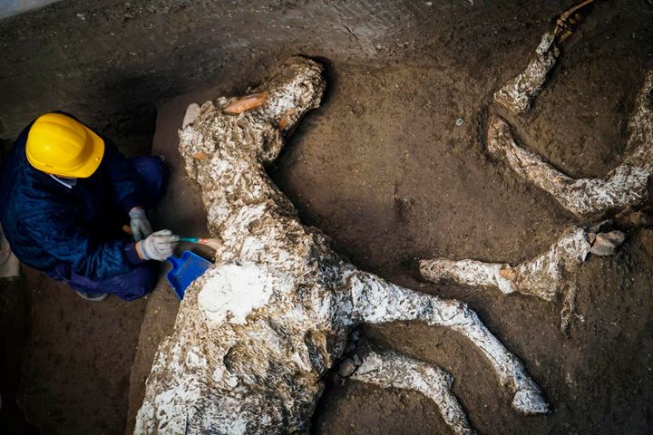 Pompeii was destroyed and people and animals alike were buried due to the eruption of Mt.Vesuvius - a tell tale sign that something like it can happen again. [Source: Associated Press, Cesare Abbate/ANSA]