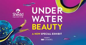 '언더워터 뷰티' (Under Water Beauty) 특별 전시회 [Shedd Aquarium]