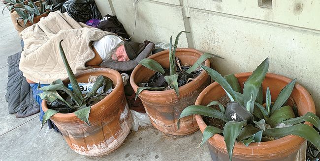 LA한인타운 버질과 5가 병원 건물 벽을 따라 설치된 대형 화분 사이에서 한 노숙인이 잠을 자고 있다. 김상진 기자