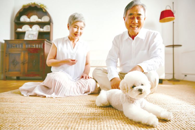 아파트에서 반려동물을 키우려 한다면 반려동물 관련 규정을 꼼꼼히 체크 한 뒤 임대 계약서에 서명해야 한다.