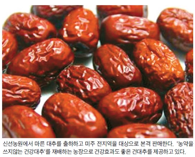 [신선농원] 무농약 마른대추 사세요! 농장 직접 판먜 - 미주중앙일보 [신선농원] 무농약 마른대추 사세요! 농장 직접 판먜
