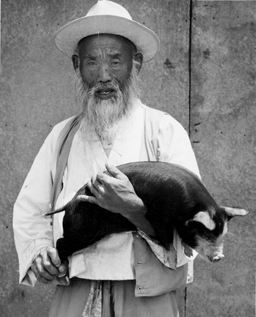 게티 뮤지엄에 소장된 홍순태 작가의 '종주'