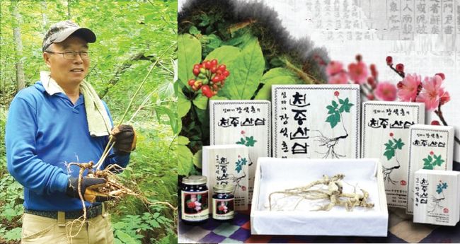 심마니 장석훈의 천종산삼이 생산삼과 건산삼을 온라인과 전화주문으로 판매한다. 코로나 극복을 바라는 마음을 담아 50% 할인제공 한다&#60419;